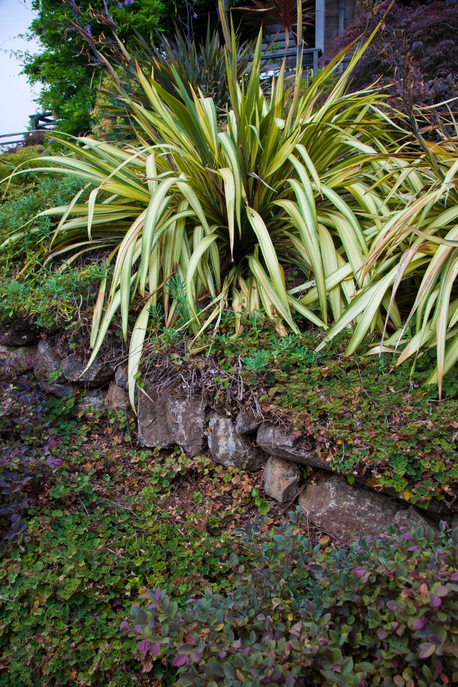 Custom Rock Formations by Artisan Home Resorts - Photo 19