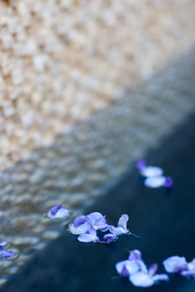 Artisan Home Resorts - Photo 14