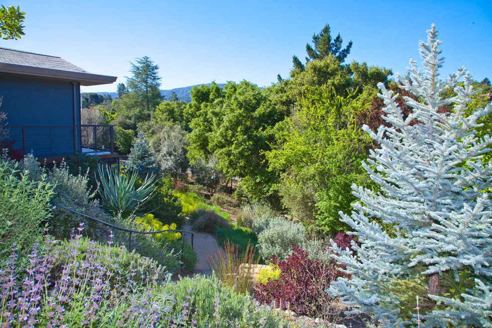 Contemporary Organic by Artisan Home Resorts - Photo 22