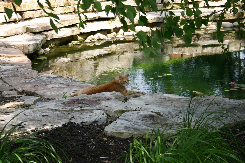 Crown Point Indiana Landscape by Planned Environment Associates - Photo 11
