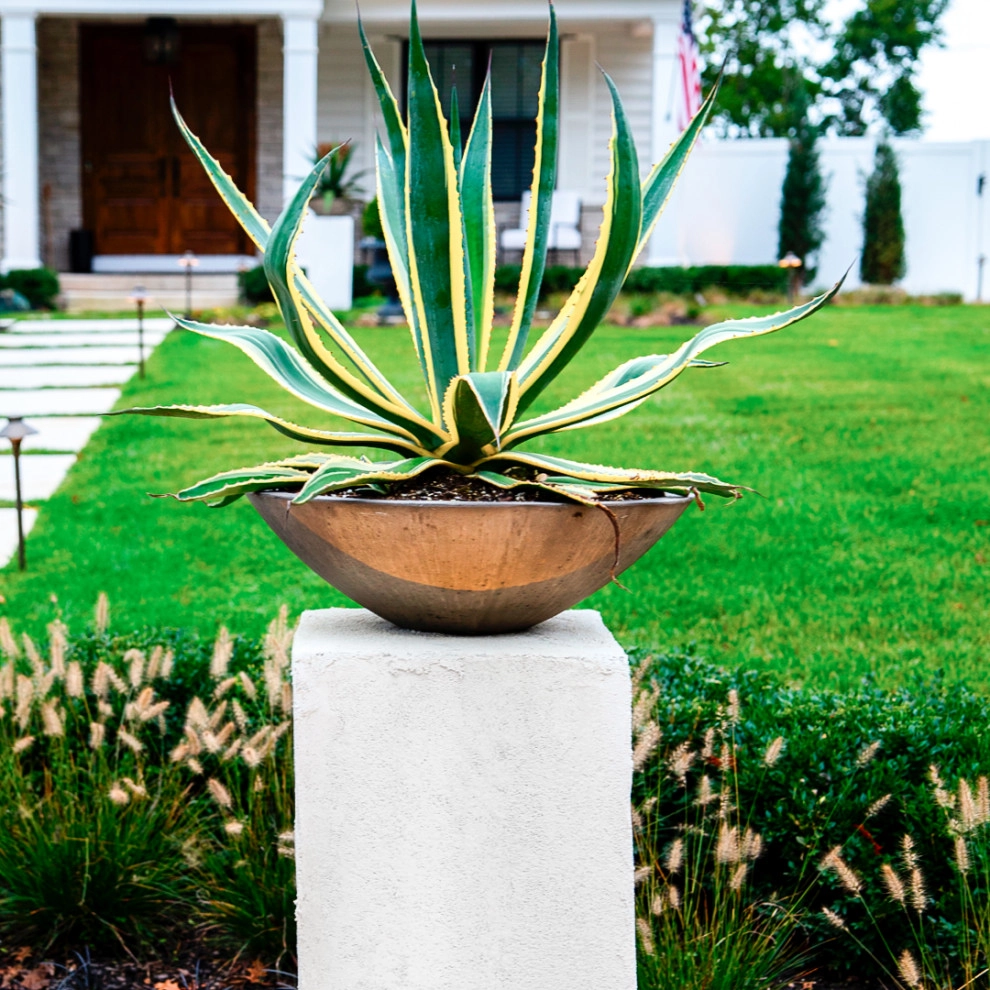 Front & Backyard Makeover by PLANT Design Group - Photo 4