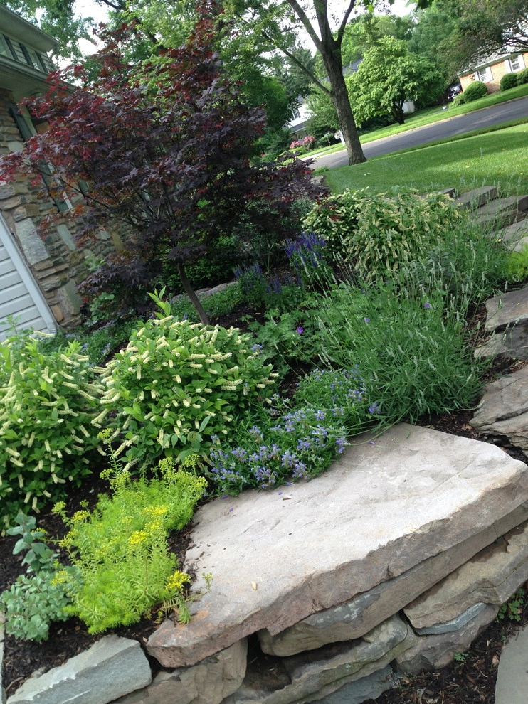 Stone Walkway & Complete Landscaping by PLANT Design Group - Photo 8