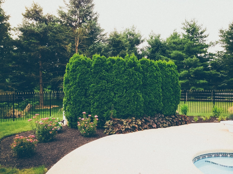 Complete Front & Back Yard Design-Build by PLANT Design Group - Photo 9