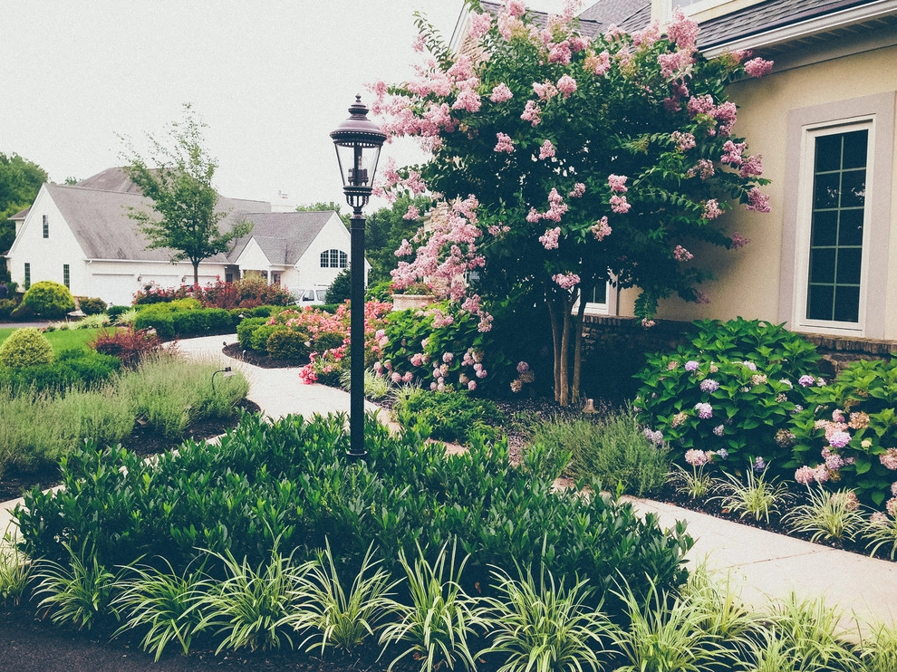 Complete Front & Back Yard Design-Build by PLANT Design Group - Photo 2