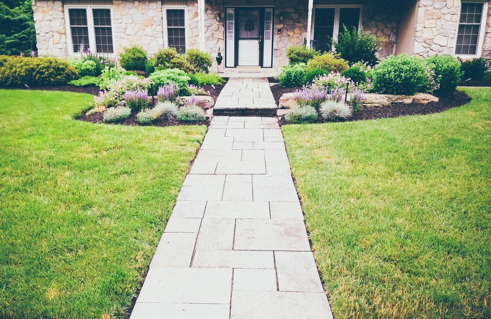 Complete Front & Back Yard Design-Build by PLANT Design Group - Photo 10