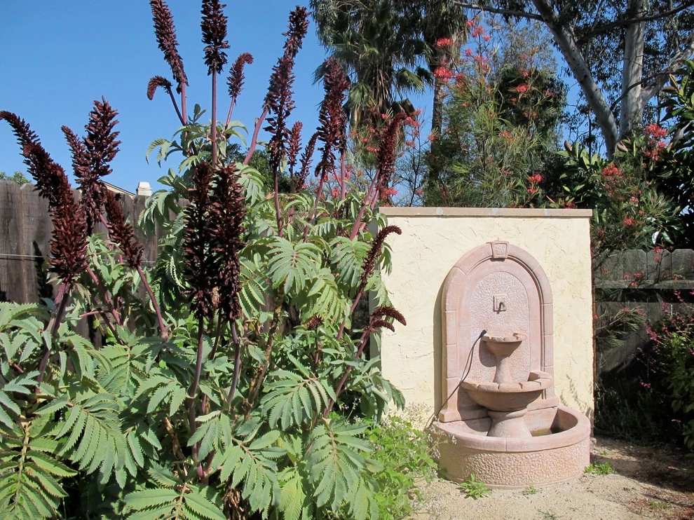 Plant Soup, Inc. - Photo 7