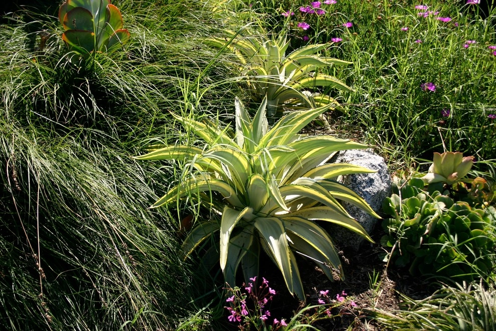 Plant Soup, Inc. - Photo 8