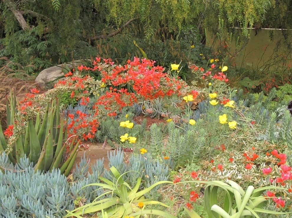 Plant Soup, Inc. - Photo 4