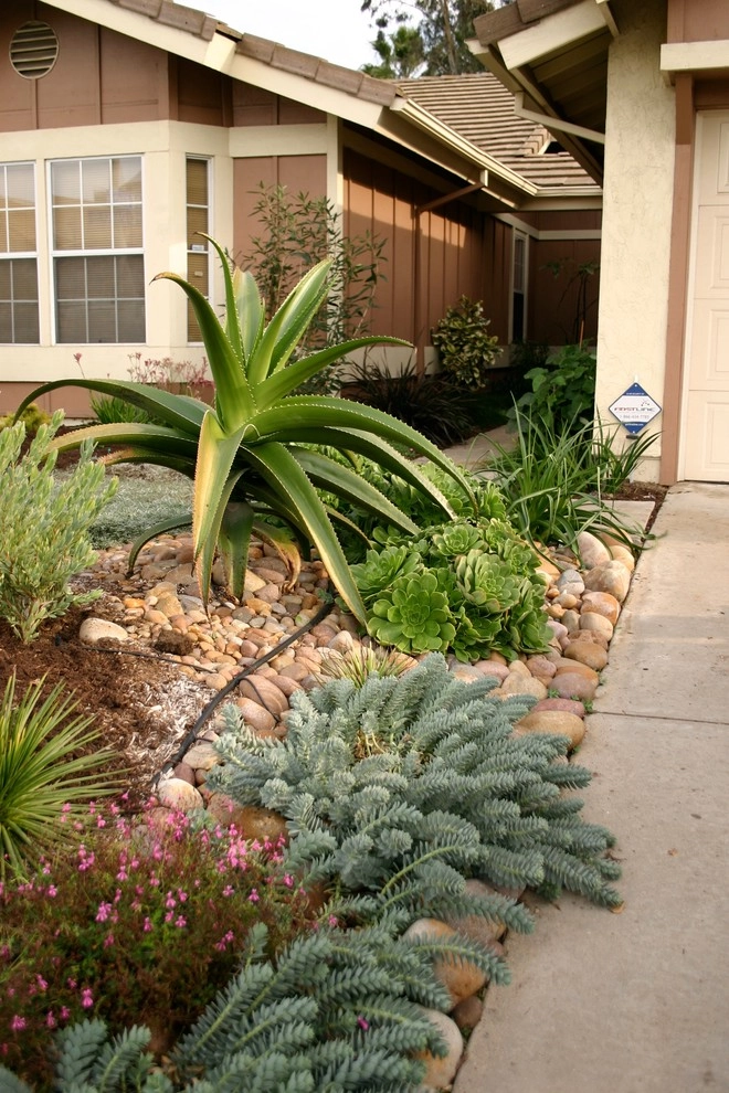 Plant Soup, Inc. - Photo 2