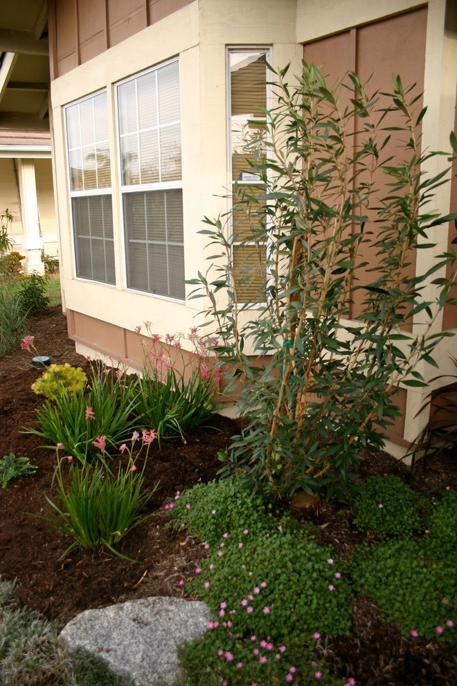 Plant Soup, Inc. - Photo 5