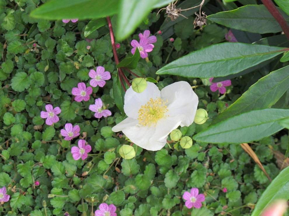 Plant Soup, Inc. - Photo 6