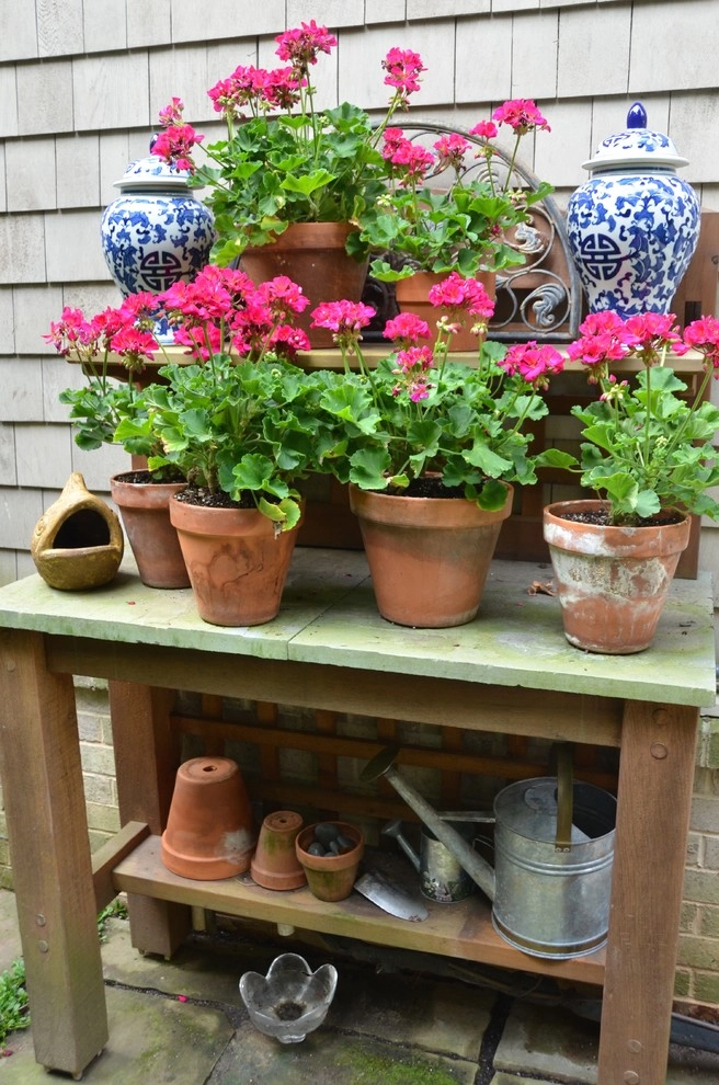 Urban Oasis by Planters - Photo 6