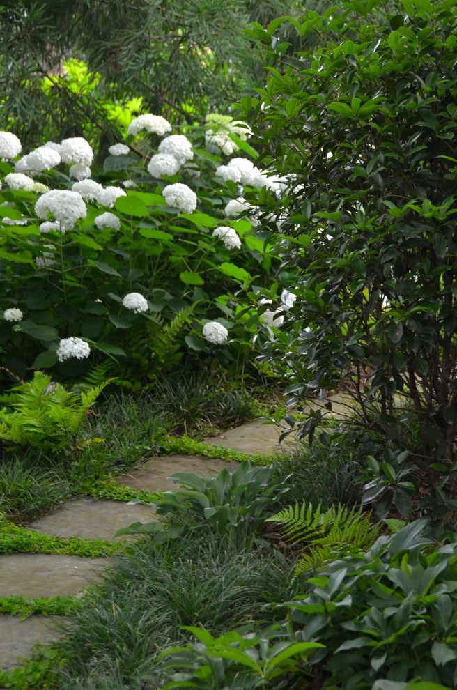 Urban Oasis by Planters - Photo 2