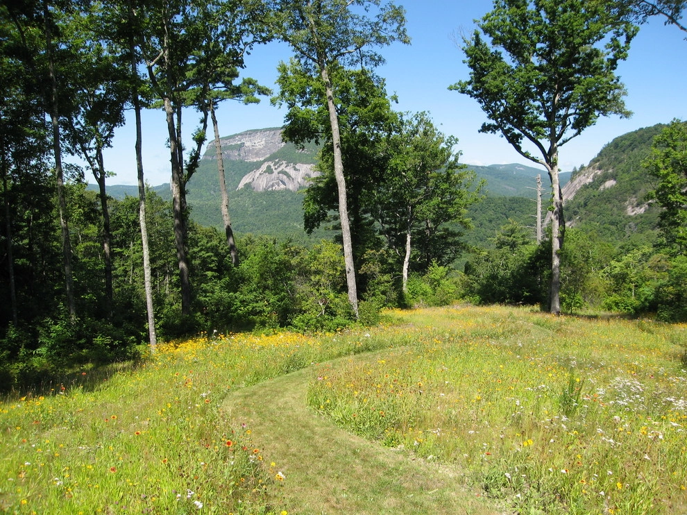 Estate in Cashiers, NC by Planters - Photo 2
