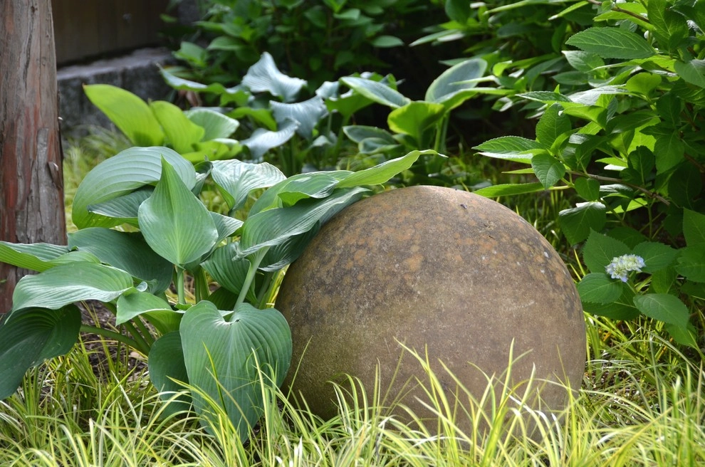 Urban Oasis by Planters - Photo 3
