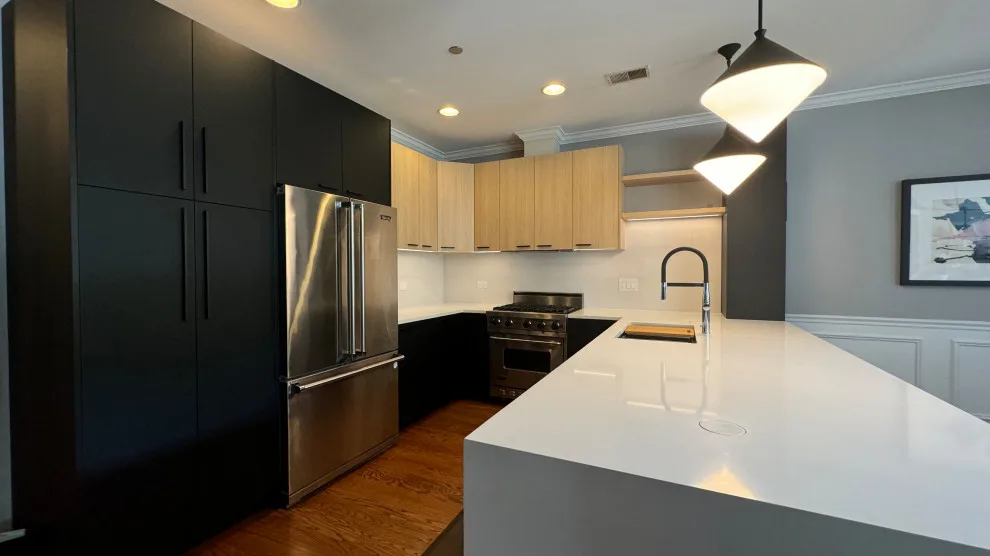 Lakeview | Contemporary Kitchen Remodeling by Cabanilla Design Collective - Photo 12