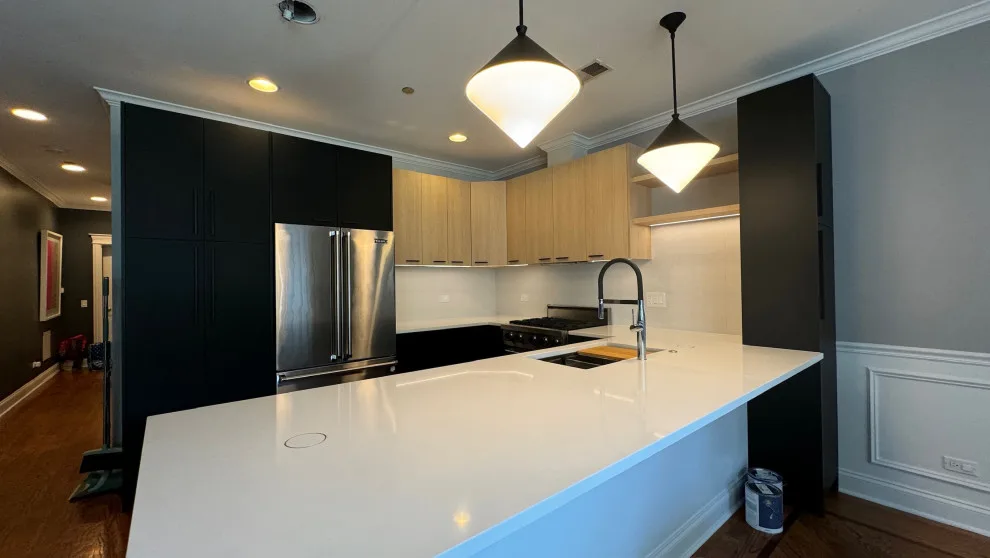 Lakeview | Contemporary Kitchen Remodeling by Cabanilla Design Collective - Photo 6
