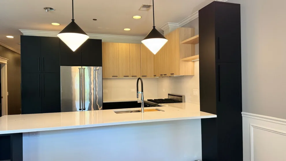 Lakeview | Contemporary Kitchen Remodeling by Cabanilla Design Collective - Photo 5