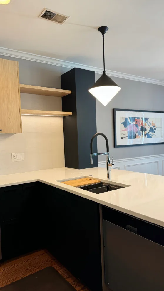 Lakeview | Contemporary Kitchen Remodeling by Cabanilla Design Collective - Photo 4
