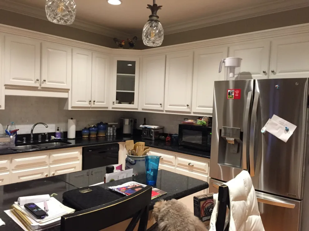 Meadow Blossom Kitchen by Remodel Greenville - Photo 3
