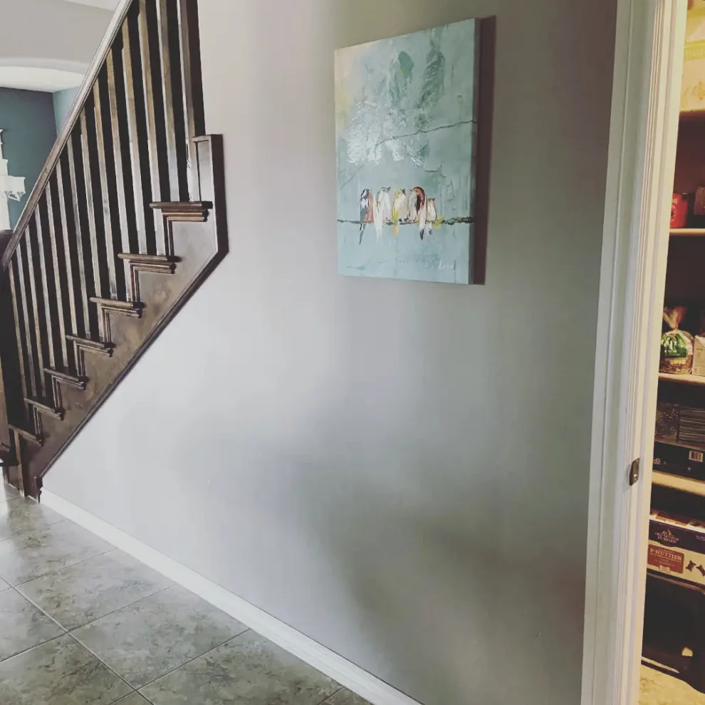Bella's new canine space by Whimsical Construction Llc - Photo 8