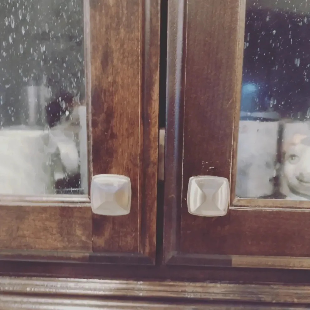 Bella's new canine space by Whimsical Construction Llc - Photo 14