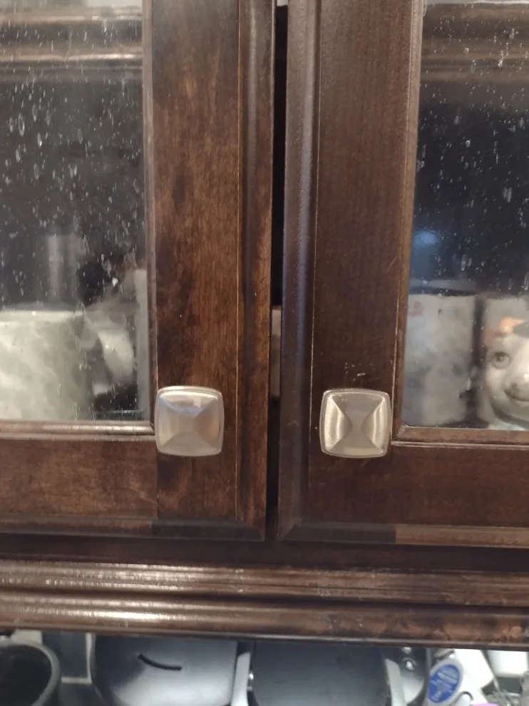 Bella's new canine space by Whimsical Construction Llc - Photo 9