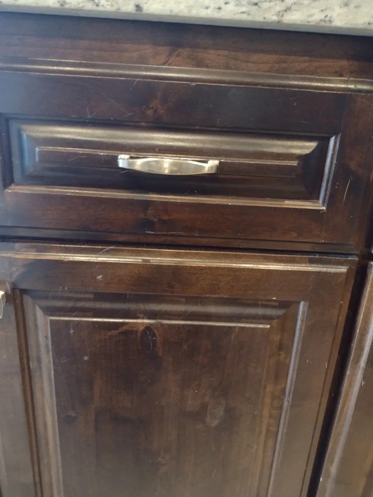 Bella's new canine space by Whimsical Construction Llc - Photo 4