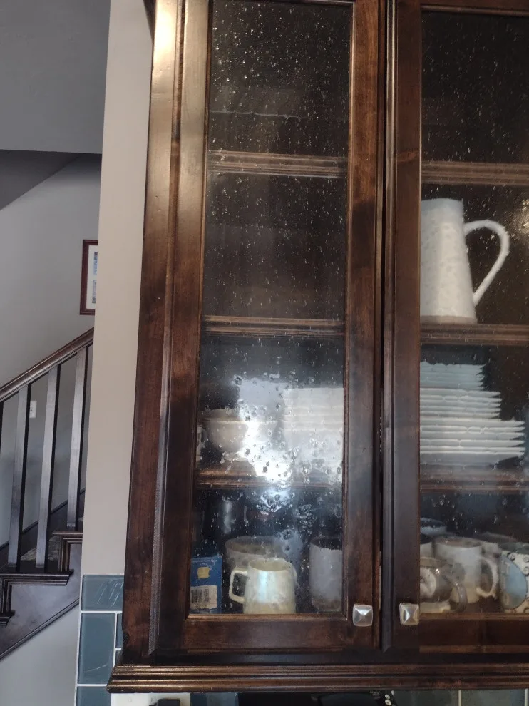 Bella's new canine space by Whimsical Construction Llc - Photo 7