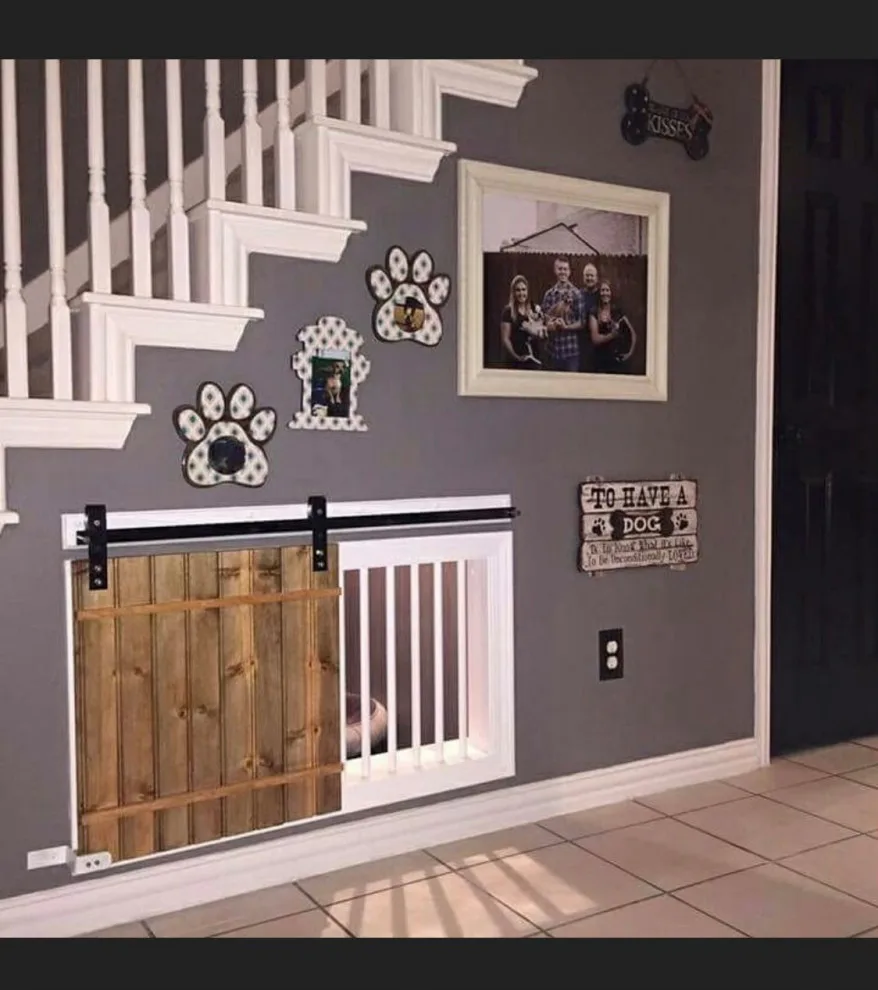 Bella's new canine space by Whimsical Construction Llc - Photo 5