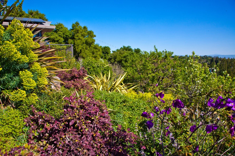 Contemporary Organic by Artisan Home Resorts - Photo 33