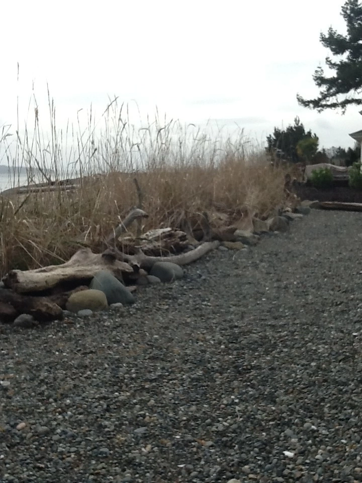 Beach Gardens by Plantswoman Design - Photo 4