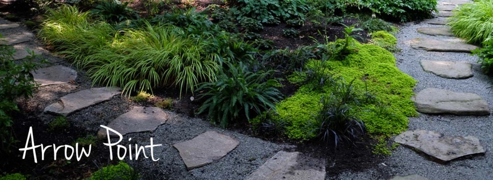 Arrow Point by Plantswoman Design - Photo 5