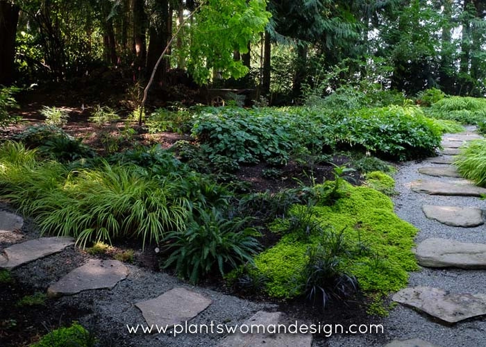 Arrow Point by Plantswoman Design - Photo 8