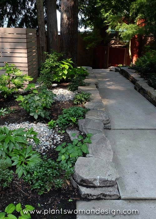 Arrow Point by Plantswoman Design - Photo 6