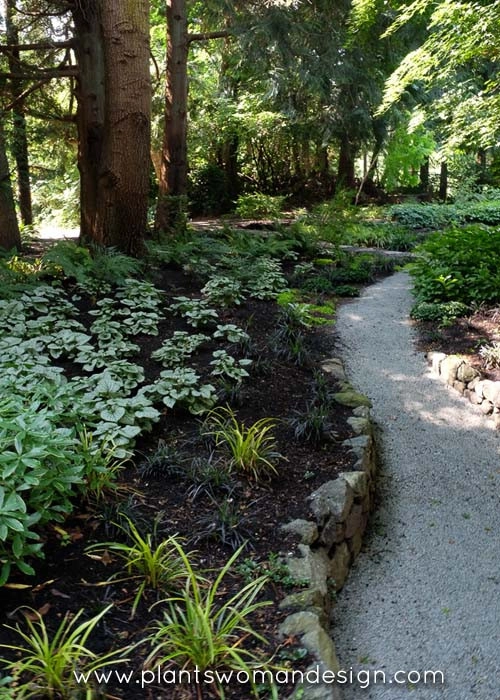 Arrow Point by Plantswoman Design - Photo 2