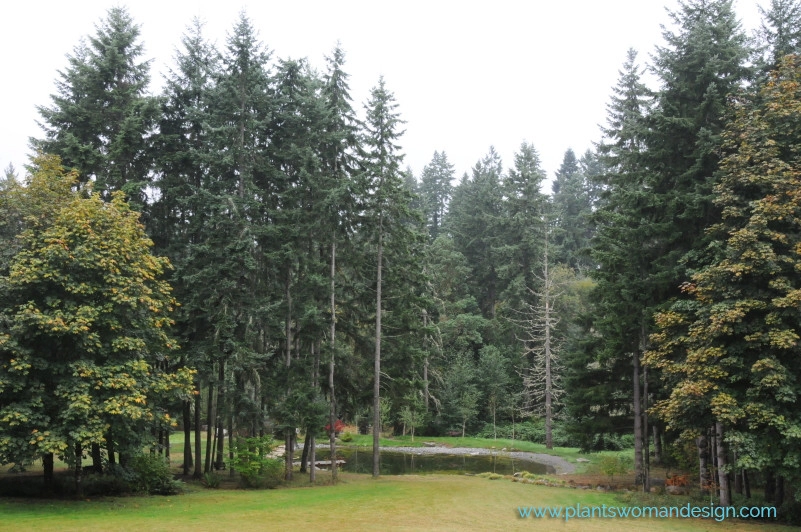 Holly Farm by Plantswoman Design - Photo 3
