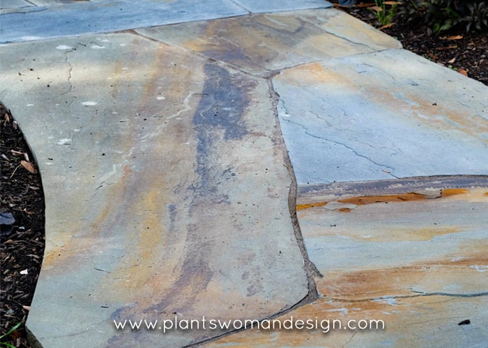 Blue Stone Project by Plantswoman Design - Photo 13