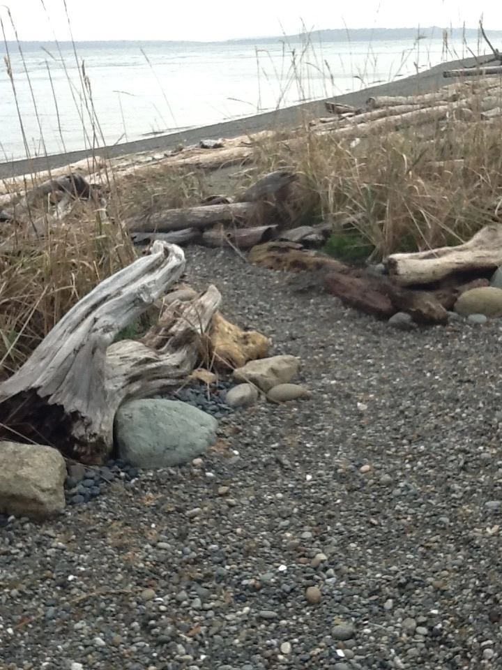 Beach Gardens by Plantswoman Design - Photo 12
