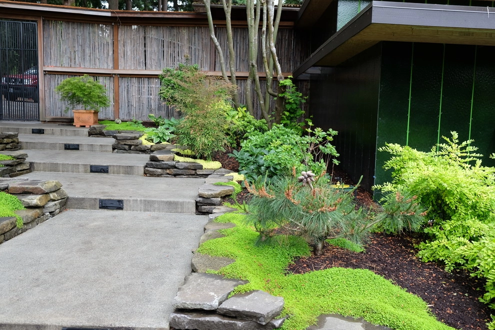 Ferncliff by Plantswoman Design - Photo 7