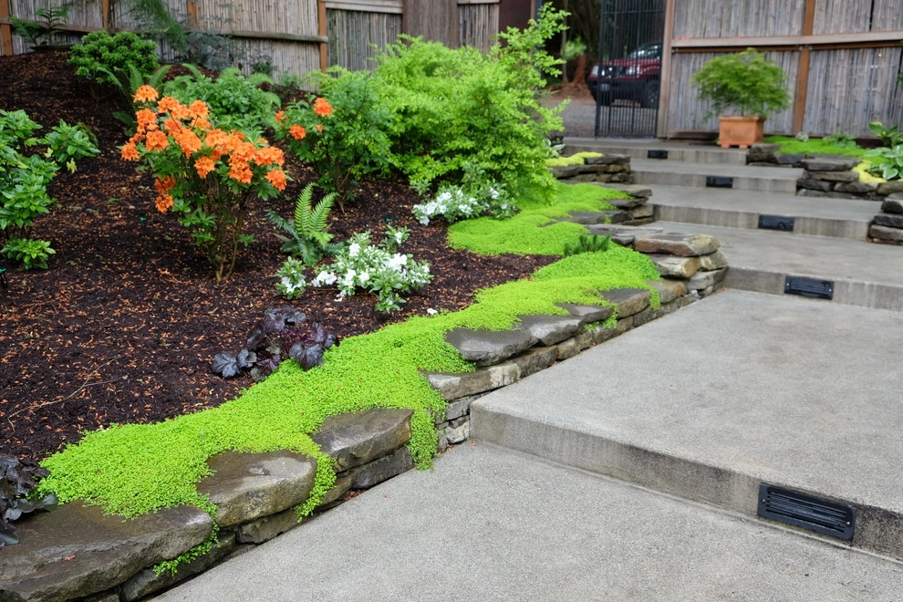 Ferncliff by Plantswoman Design - Photo 8