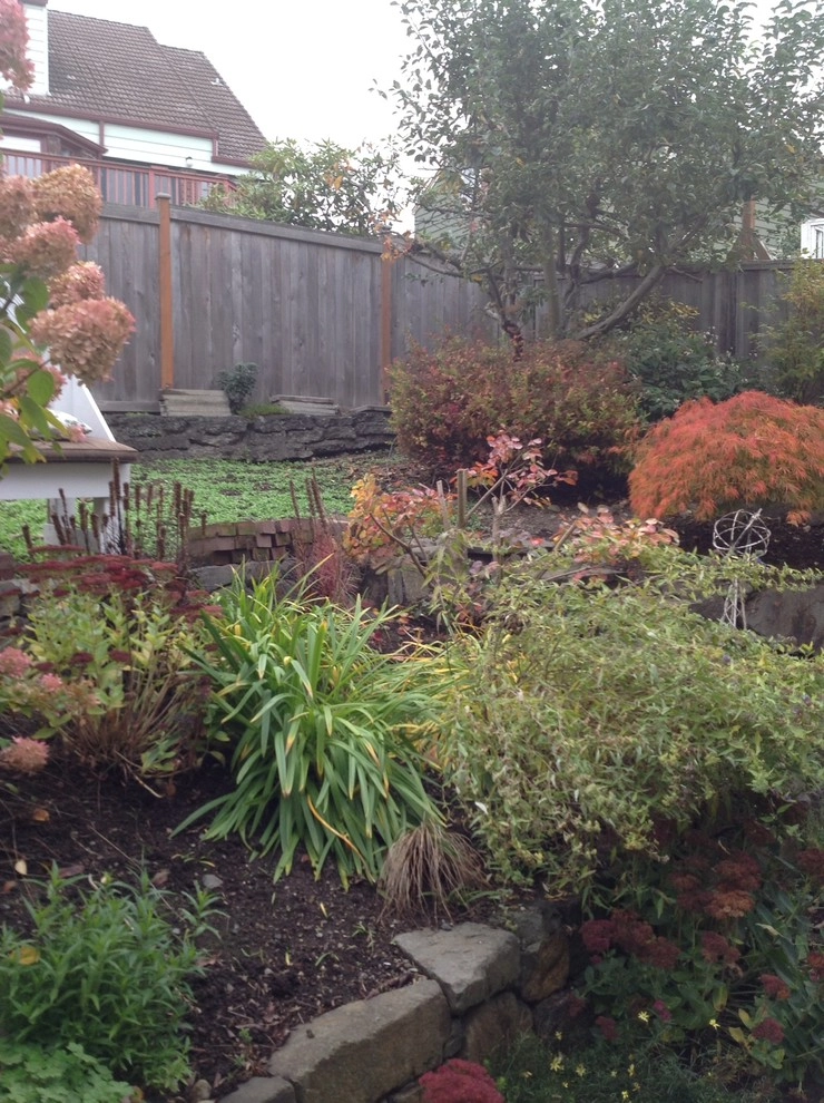 university village by Plantswoman Design - Photo 8