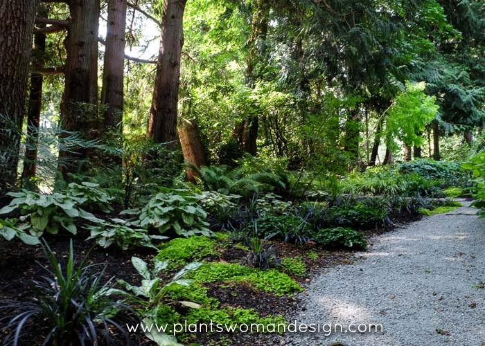 Arrow Point by Plantswoman Design - Photo 7