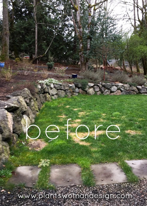Blue Stone Project by Plantswoman Design - Photo 8