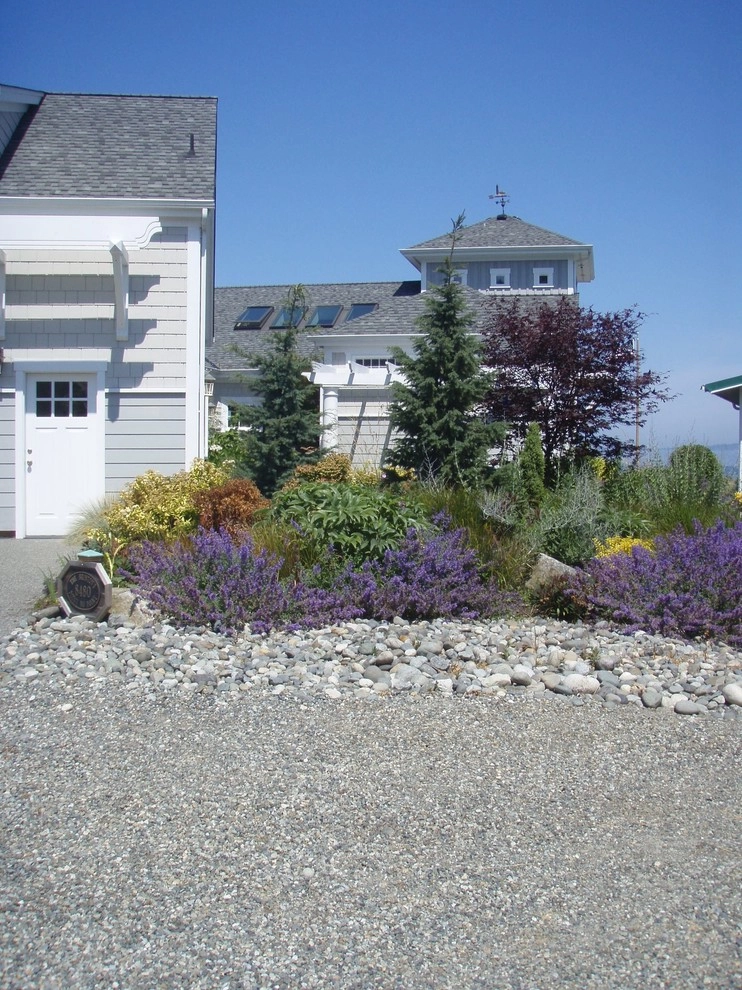 Beach Gardens by Plantswoman Design - Photo 5