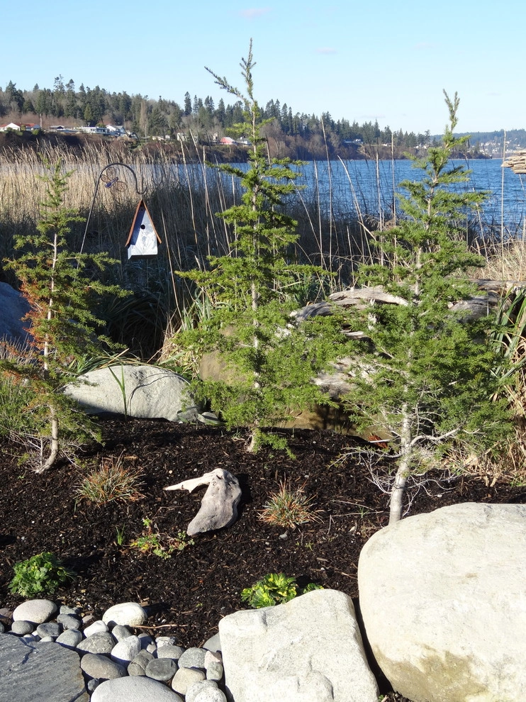 Beach Gardens by Plantswoman Design - Photo 14