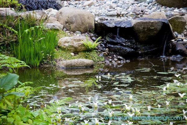 Rolling Bay by Plantswoman Design - Photo 2