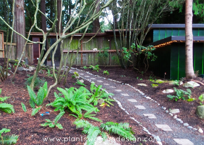 Ferncliff by Plantswoman Design - Photo 2