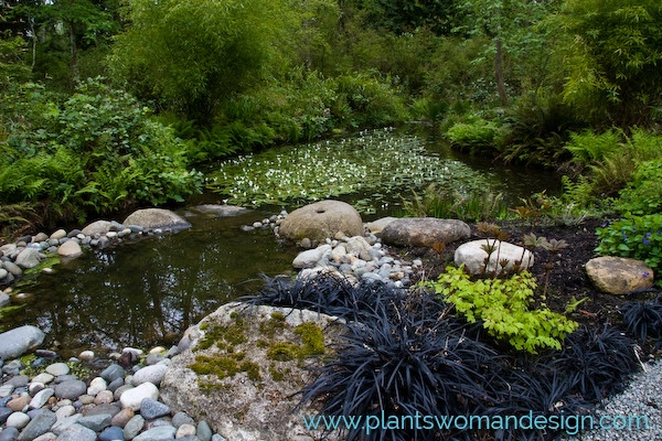 Rolling Bay by Plantswoman Design - Photo 8