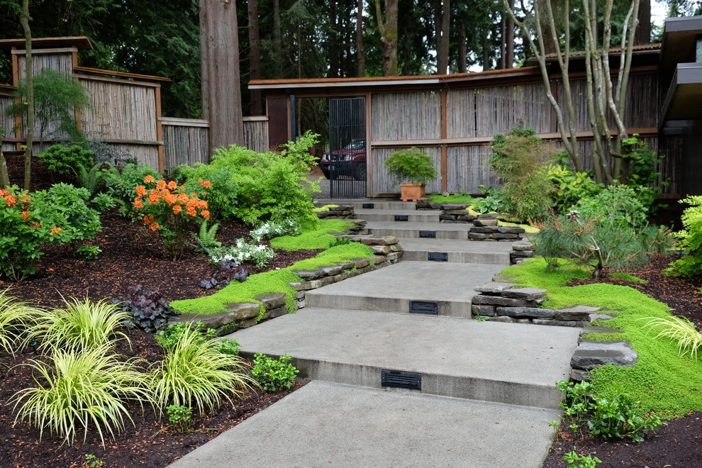 Ferncliff by Plantswoman Design - Photo 5